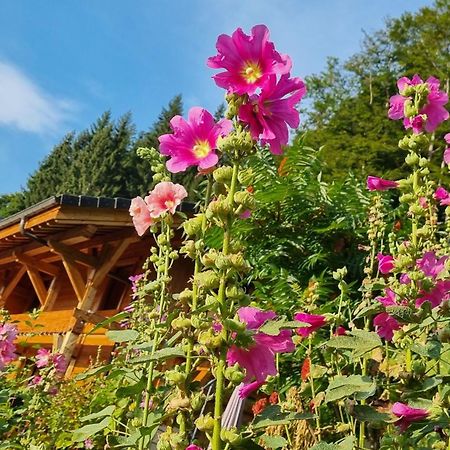 Chalet Arpitan - Les Carroz - Grand Massif Exteriér fotografie