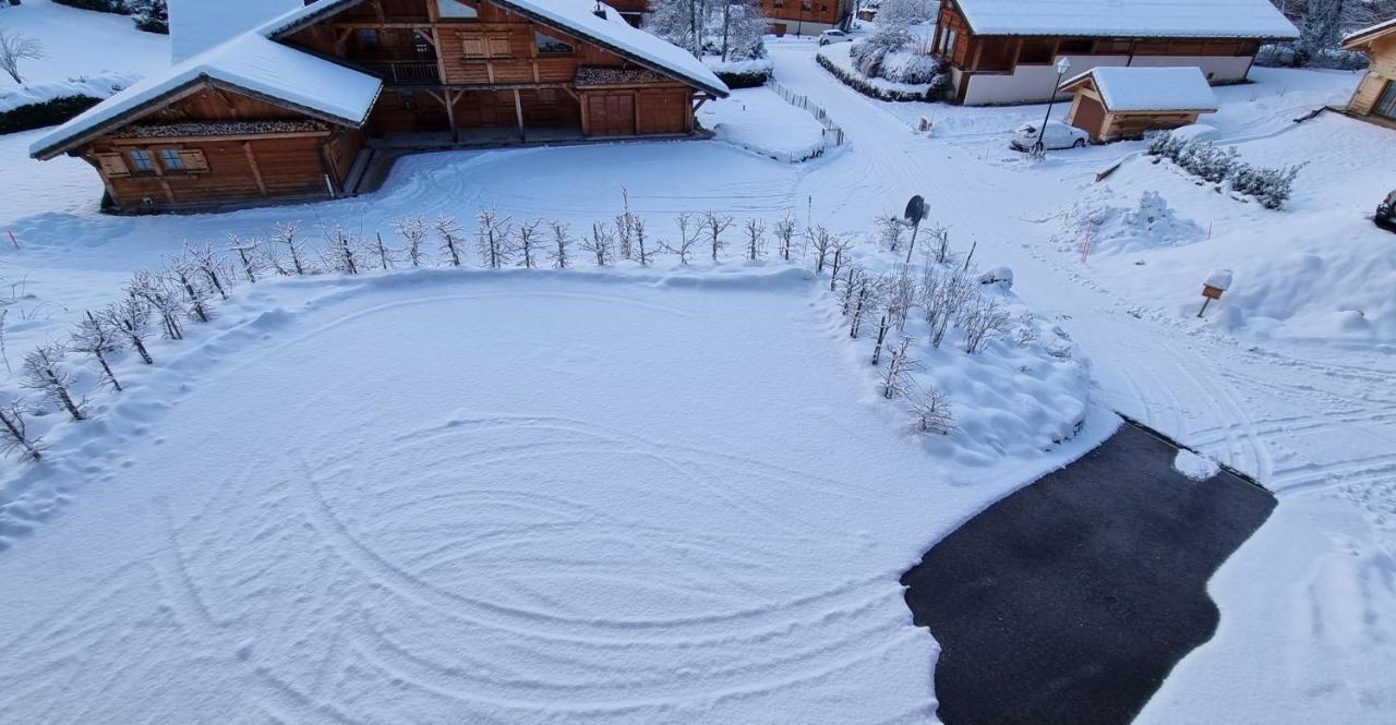 Chalet Arpitan - Les Carroz - Grand Massif Exteriér fotografie