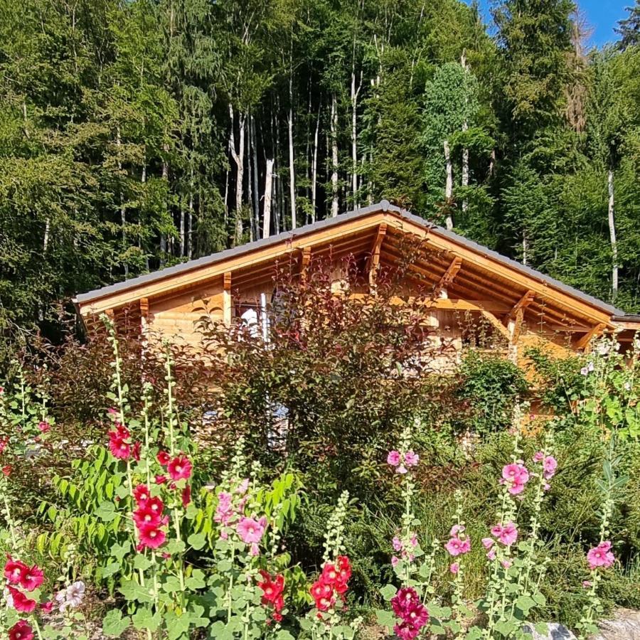 Chalet Arpitan - Les Carroz - Grand Massif Exteriér fotografie