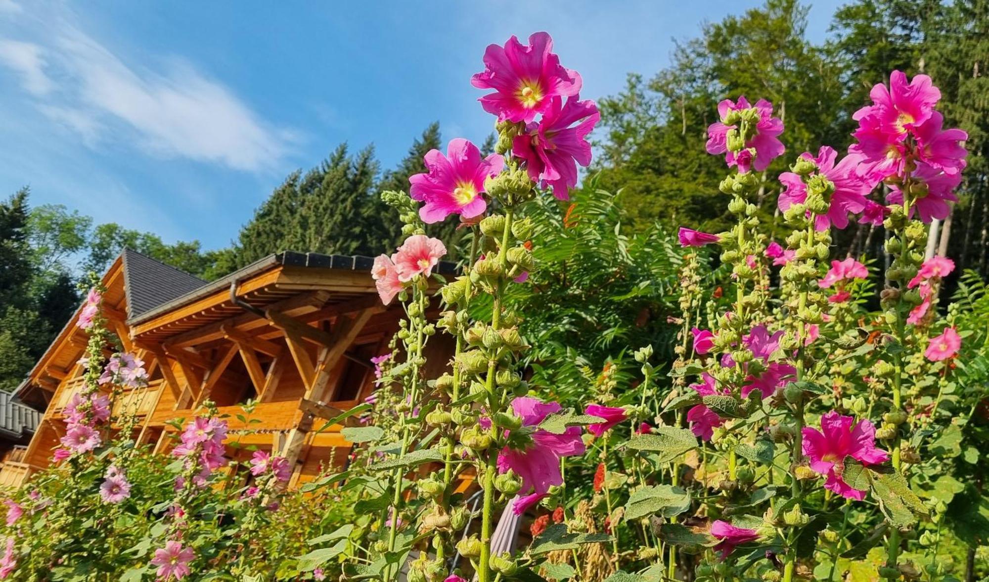 Chalet Arpitan - Les Carroz - Grand Massif Exteriér fotografie